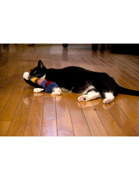 Juguete de Peluche Weasel Iconic Pet - Juego de 2 para Perros y Gatos