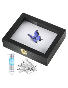 Caja de Exhibición de Insectos WILLBOND con Tapa Transparente