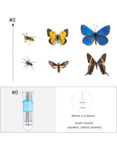 Caja de Exhibición de Insectos WILLBOND con Tapa Transparente 2