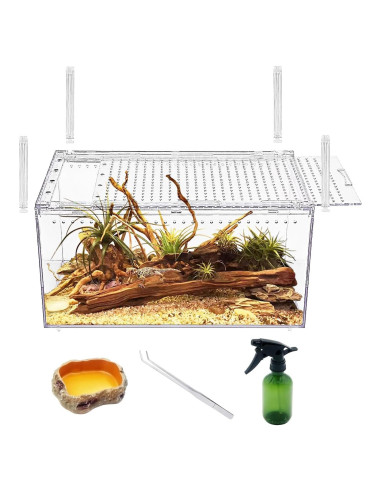 Recinto para Reptiles Reptile Growth 30.48x20.32x15.24 cm