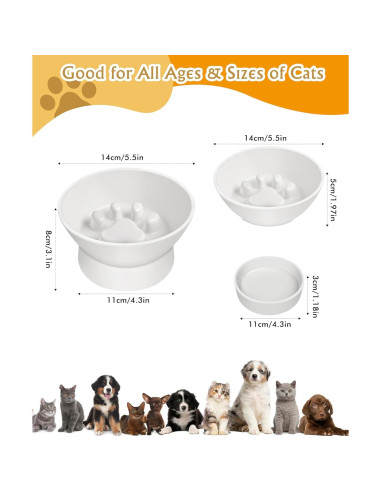 Cuenco Elevado para Gatos TinyQilin 12.7 cm Alimentación Lenta