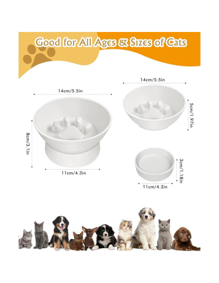 Cuenco Elevado para Gatos TinyQilin 12.7 cm Alimentación Lenta