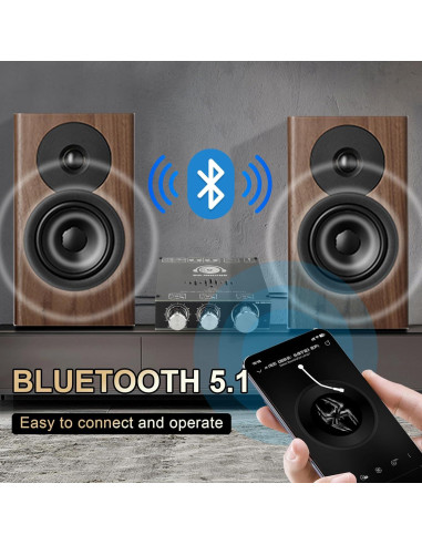 Amplificador Estéreo 160W+160W DAMGOO T160HS Bluetooth AUX