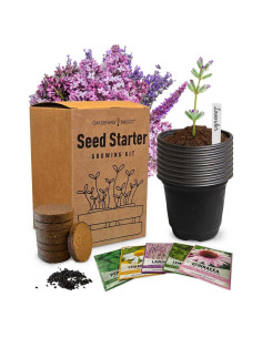 Kit de Cultivo de Té Gardeners Basics - 5 Semillas de Hierbas