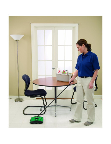 Barrendero Manual BISSELL BigGreen BG23 con 2 Rodillos 19 cm