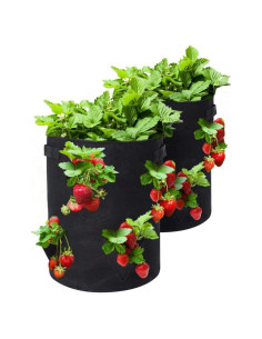 Bolsas de Cultivo de Fresas BeyondNice - 2 Macetas 37.85L