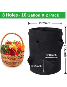 Bolsas de Cultivo de Fresas BeyondNice - 2 Macetas 37.85L 2