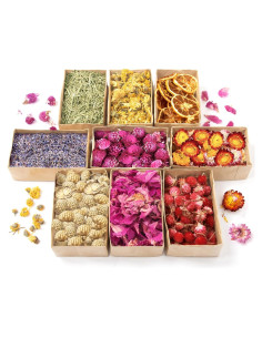 Kit de Flores Secas Naturales DreamdaMoonnly - 9 Bolsas 10g