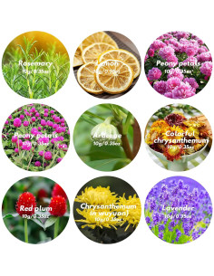 Kit de Flores Secas Naturales DreamdaMoonnly - 9 Bolsas 10g 2