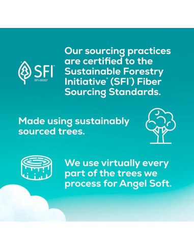 Papel Higiénico Angel Soft Súper Mega 6 Rollos 480 Hojas