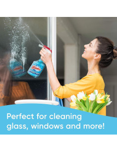 Pledge Limpiador Multi Superficies 274 ml + Windex 681 ml 2