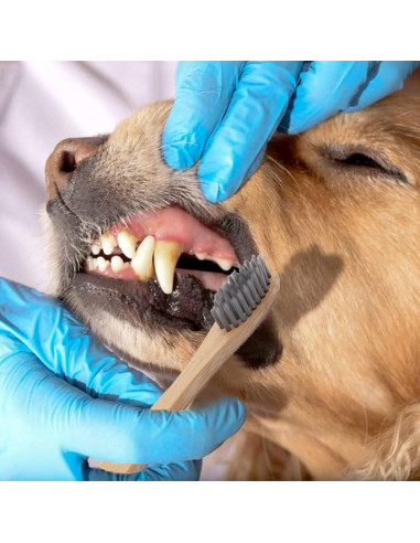 Juego de Cepillos de Dientes de Bambú H&H Pets - 3 Unidades