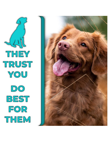 Juego de Cepillos de Dientes de Bambú H&H Pets - 3 Unidades