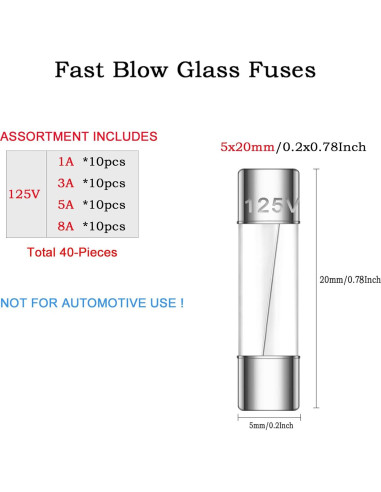 Kit de Fusibles de Vidrio 5x20mm Dyruilanbo 40 Piezas 125V