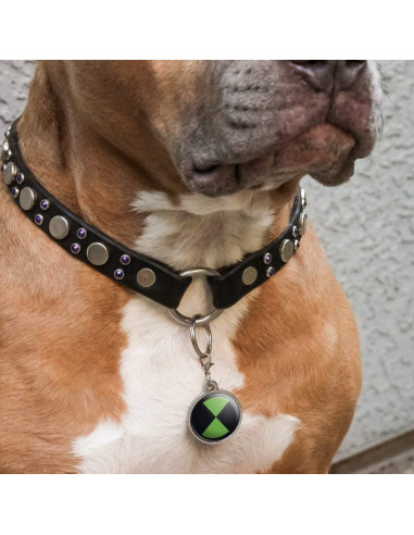 Etiqueta Identificación Metal Cromado Mascotas Ben 10 30mm