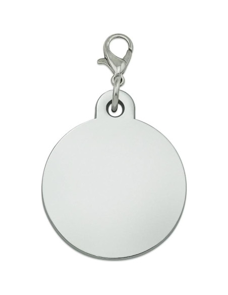 Etiqueta Identificación Metal Cromado Mascotas Ben 10 30mm