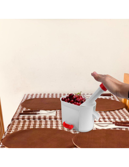 Deshuesadora de Cereza Kichvoe Acero Inoxidable 20x12cm