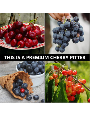 Deshuesadora de Cereza Kichvoe Acero Inoxidable 20x12cm