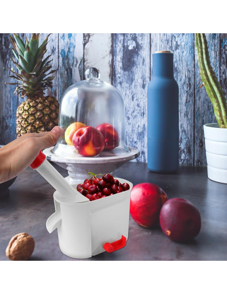 Deshuesadora de Cereza Kichvoe Acero Inoxidable 20x12cm