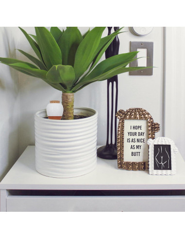 Esferas de Riego Automático Terracota OZLMC 4 Pack 0.3L