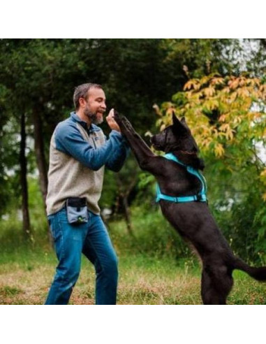 Pouch de Entrenamiento P.L.A.Y. Scout & About Deluxe Eclipse