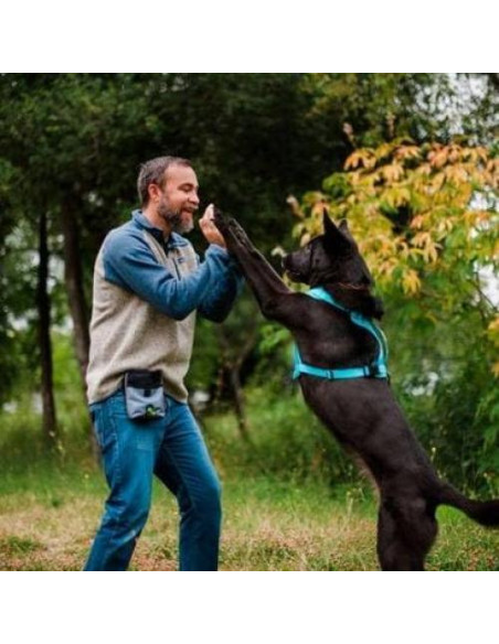 Pouch de Entrenamiento P.L.A.Y. Scout & About Deluxe Eclipse