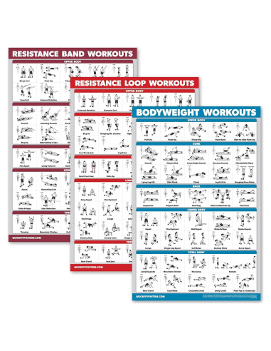 Conjunto de Pósters de Entrenamiento Palace Learning - 3 Gráficos