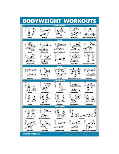 Conjunto de Pósters de Entrenamiento Palace Learning - 3 Gráficos