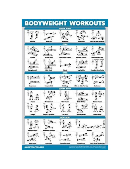 Conjunto de Pósters de Entrenamiento Palace Learning - 3 Gráficos