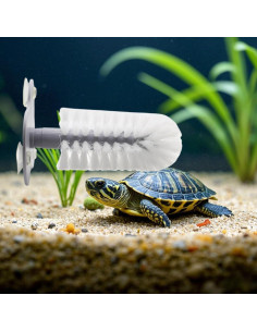Cepillo para Tortugas DoubleWood con Ventosa - 19x12cm 2