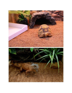 Alfombra de Reptil Hamiledyi 30x30 cm Fibra de Coco Natural 2