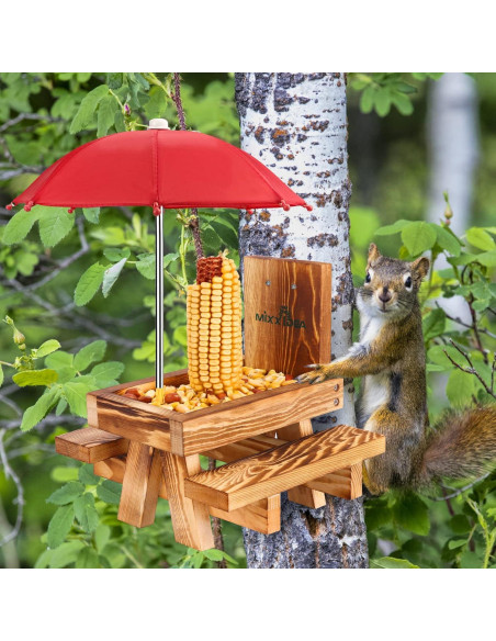 Comedero para Ardillas MIXXIDEA con Paraguas y Mesa de Picnic