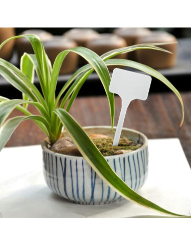 Etiquetas de Plástico Grandes KINGLAKE GARDEN 15 cm 50 Unidades