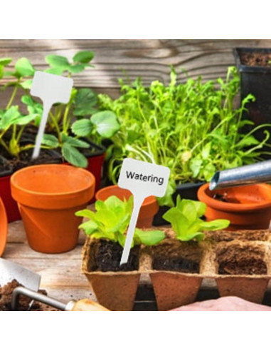 Etiquetas de Plástico Grandes KINGLAKE GARDEN 15 cm 50 Unidades