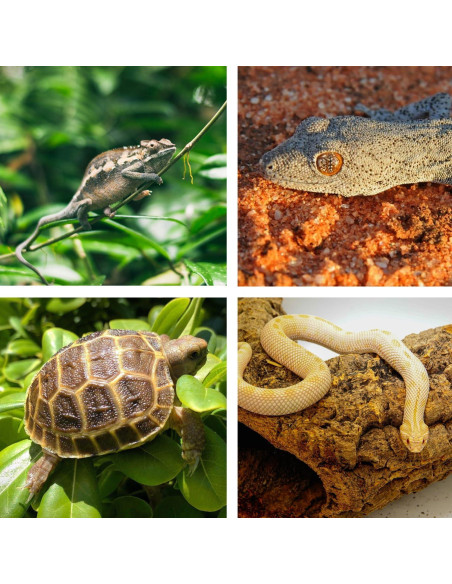 Emisor de Calor Cerámico 100W ReptiKing para Reptiles y Anfibios