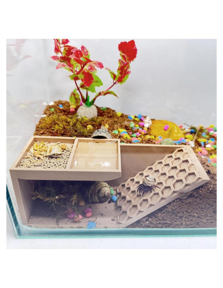 Escondite 3D para Cangrejos Ermitaños HOZOE - Madera