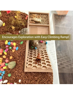 Escondite 3D para Cangrejos Ermitaños HOZOE - Madera 2