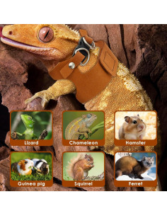 Juego de Arnés y Correa Ajustable Lainiute para Dragón Barbudo 2