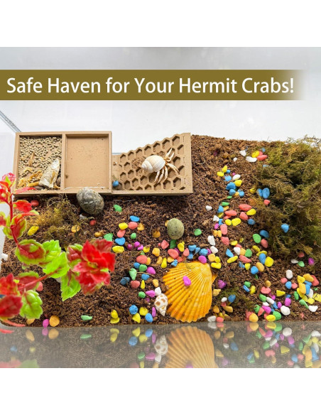 Escondite 3D para Cangrejos Ermitaños HOZOE - Madera