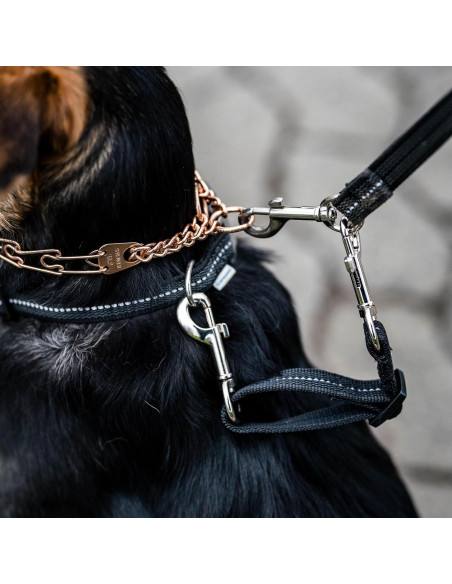 Clip de Seguridad para Collar de Púas Herm. Sprenger Azul 15-20 cm