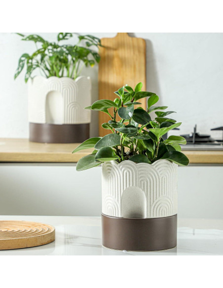 Maceta Autorriego Nihow 15 cm Cerámica Beige y Marrón