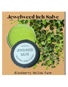 Ungüento Natural Jewelweed Blackberry Hollow 28g - Alivio Picazón