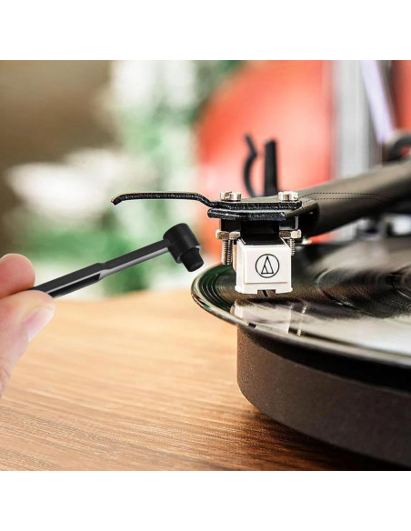 2 Cepillos de Limpieza de Aguja de Tocadiscos FdcLixuvol