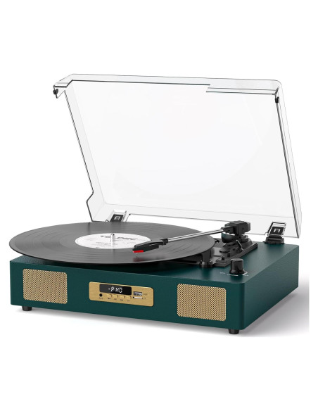 Reproductor de Vinilo Bluetooth DANFI AUDIO TE-2017 Verde Oscuro