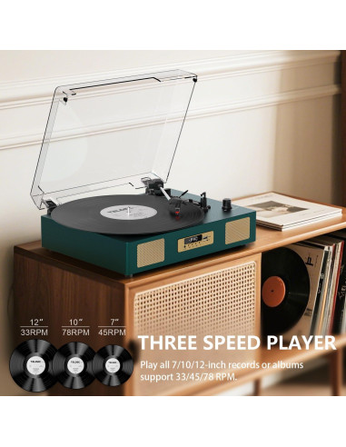 Reproductor de Vinilo Bluetooth DANFI AUDIO TE-2017 Verde Oscuro