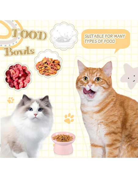 Cuencos Elevados para Gatos Layhit de Cerámica 15x9cm 2 Piezas