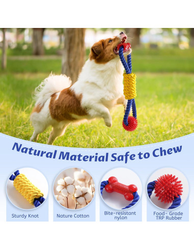 Juguete de Cuerda Interactivo Aitmexcn para Perros Medianos