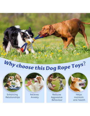 Juguete de Cuerda Interactivo Aitmexcn para Perros Medianos