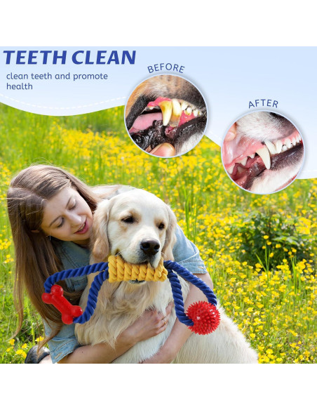 Juguete de Cuerda Interactivo Aitmexcn para Perros Medianos