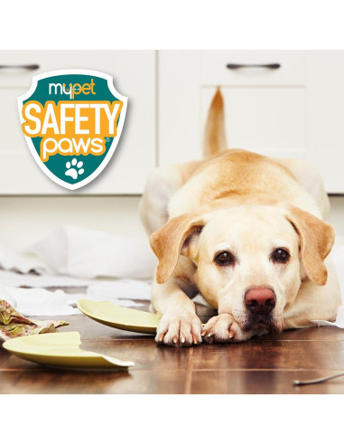 Candados de Seguridad MyPet North States 2-Pack Gris